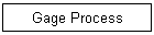 Gage Process